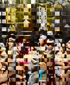 电影《鸭王》免费观看