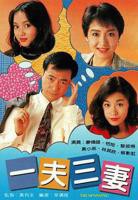 美剧《一夫三妻》第一季免费在线观看高清完整版